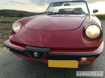 Alfa-Romeo Spider