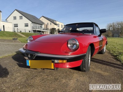 Alfa-Romeo Spider