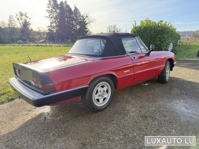 Alfa-Romeo Spider