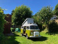 VW T2