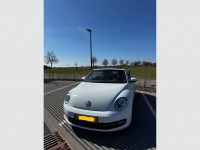 VW Beetle