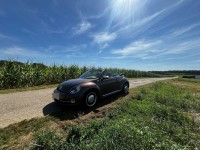 VW Beetle