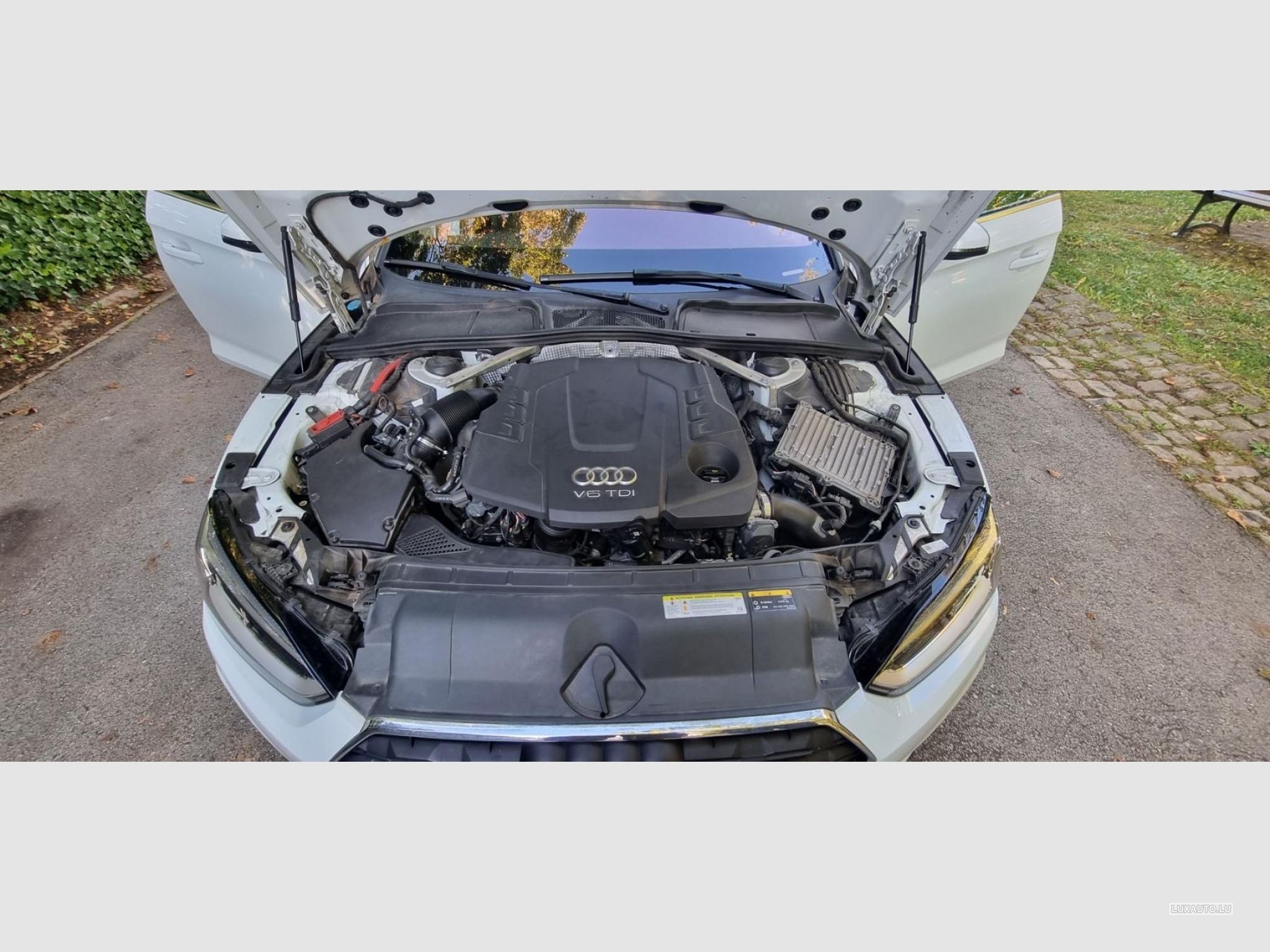 Audi A5 Sportback 3.0 Tdi 218 Quattro S-Tronic