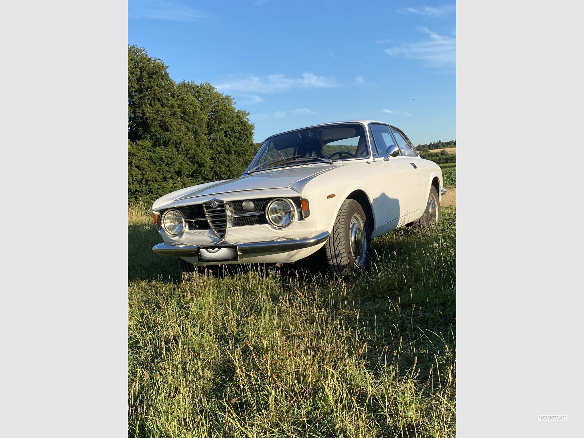 Alfa-Romeo GT Junior