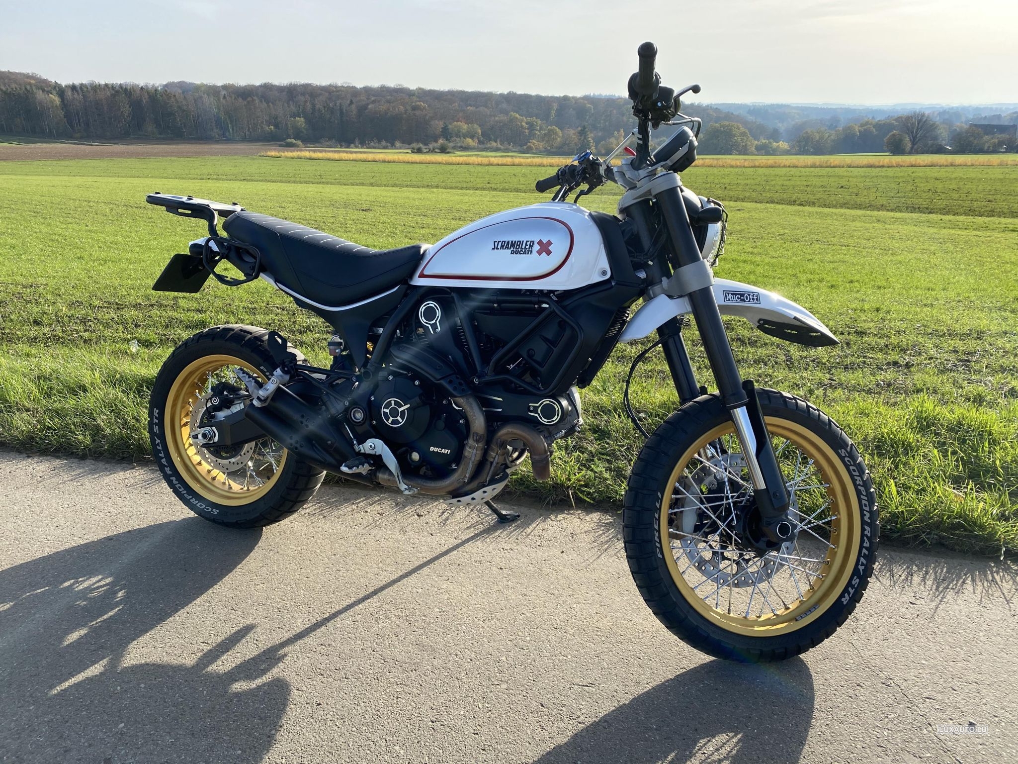 Ducati Scrambler Desert Sled