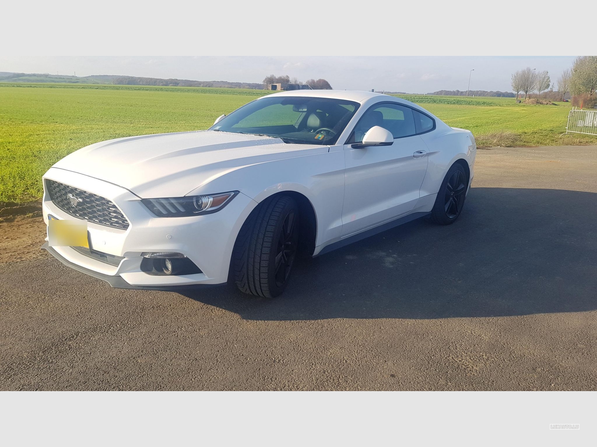 Ford Mustang 2.3l EcoBoost 317cv