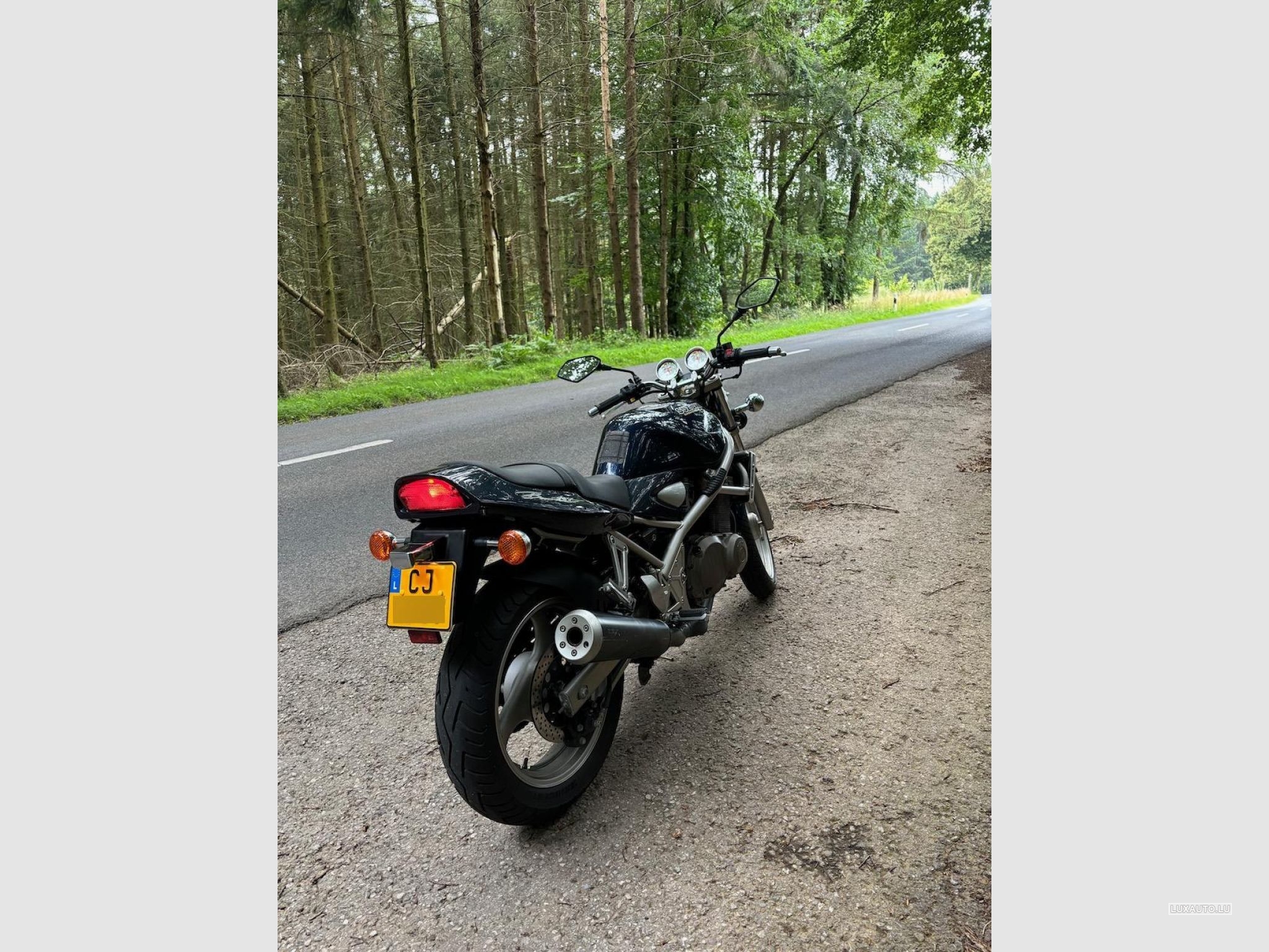 Suzuki GS GSF - Bandit 400