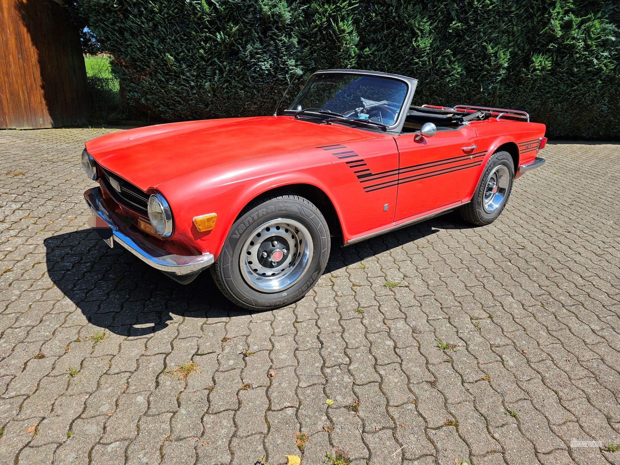 Triumph TR6