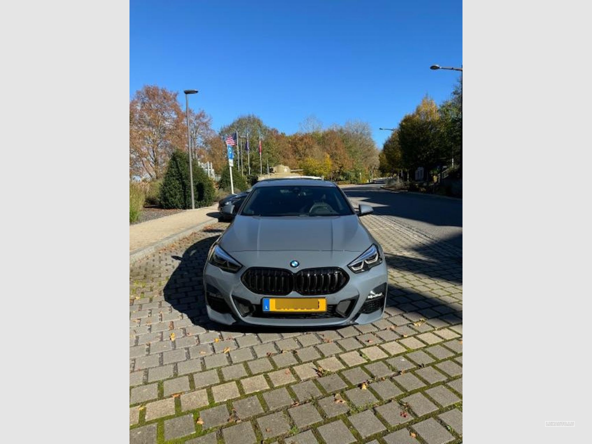 BMW 220 X-Drive
