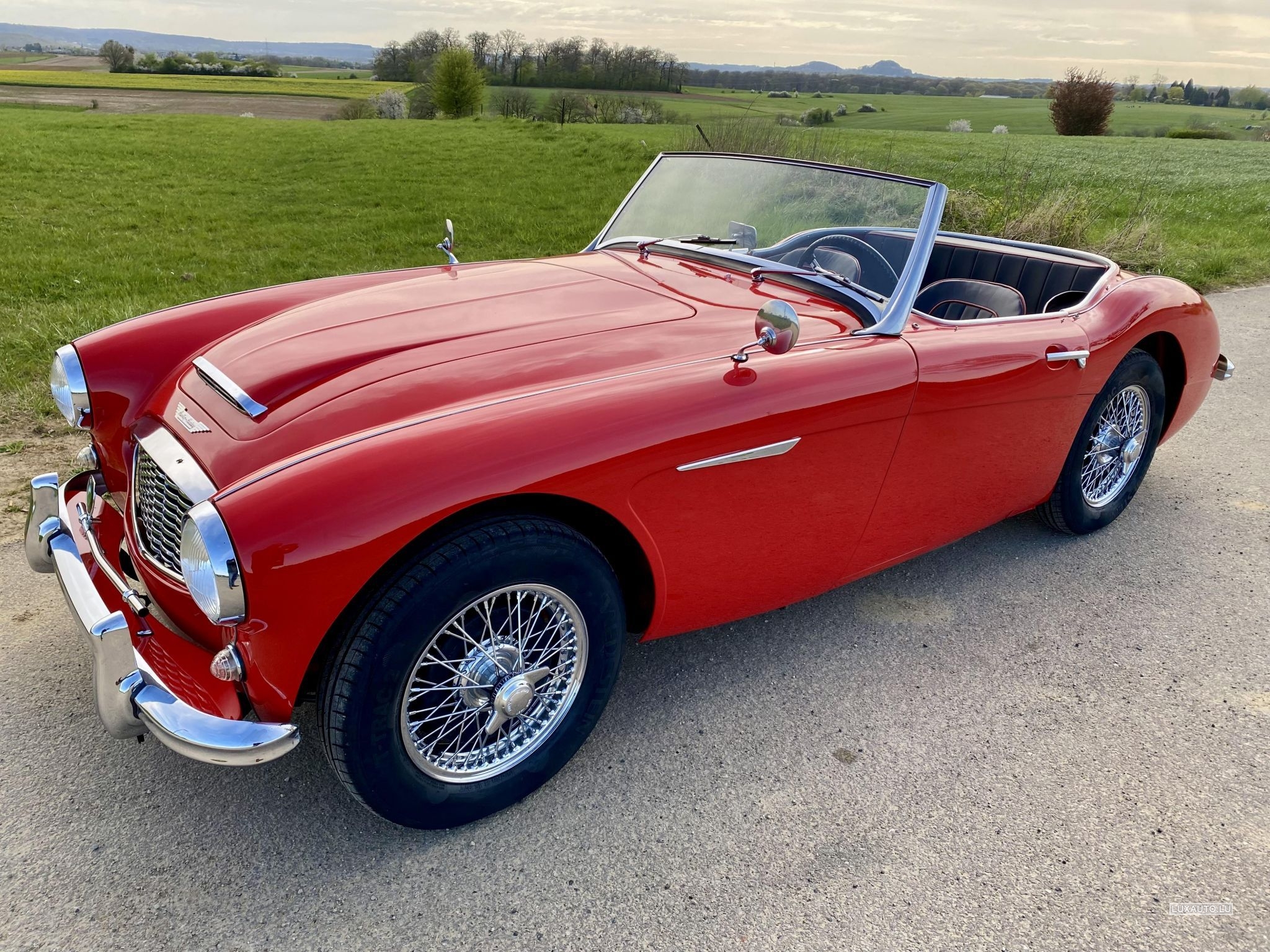 Austin-Healey 100 / 6