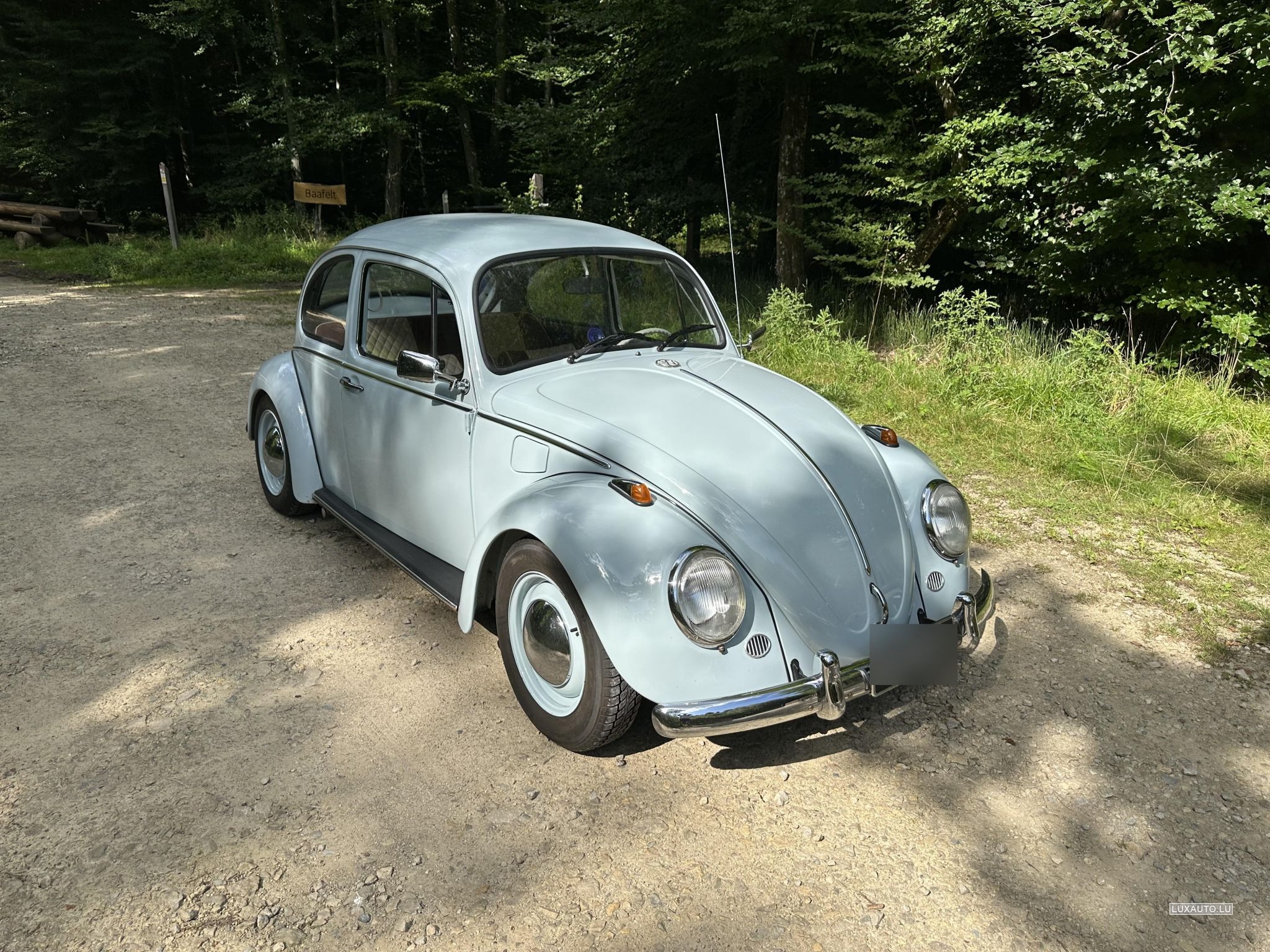 VW Coccinelle