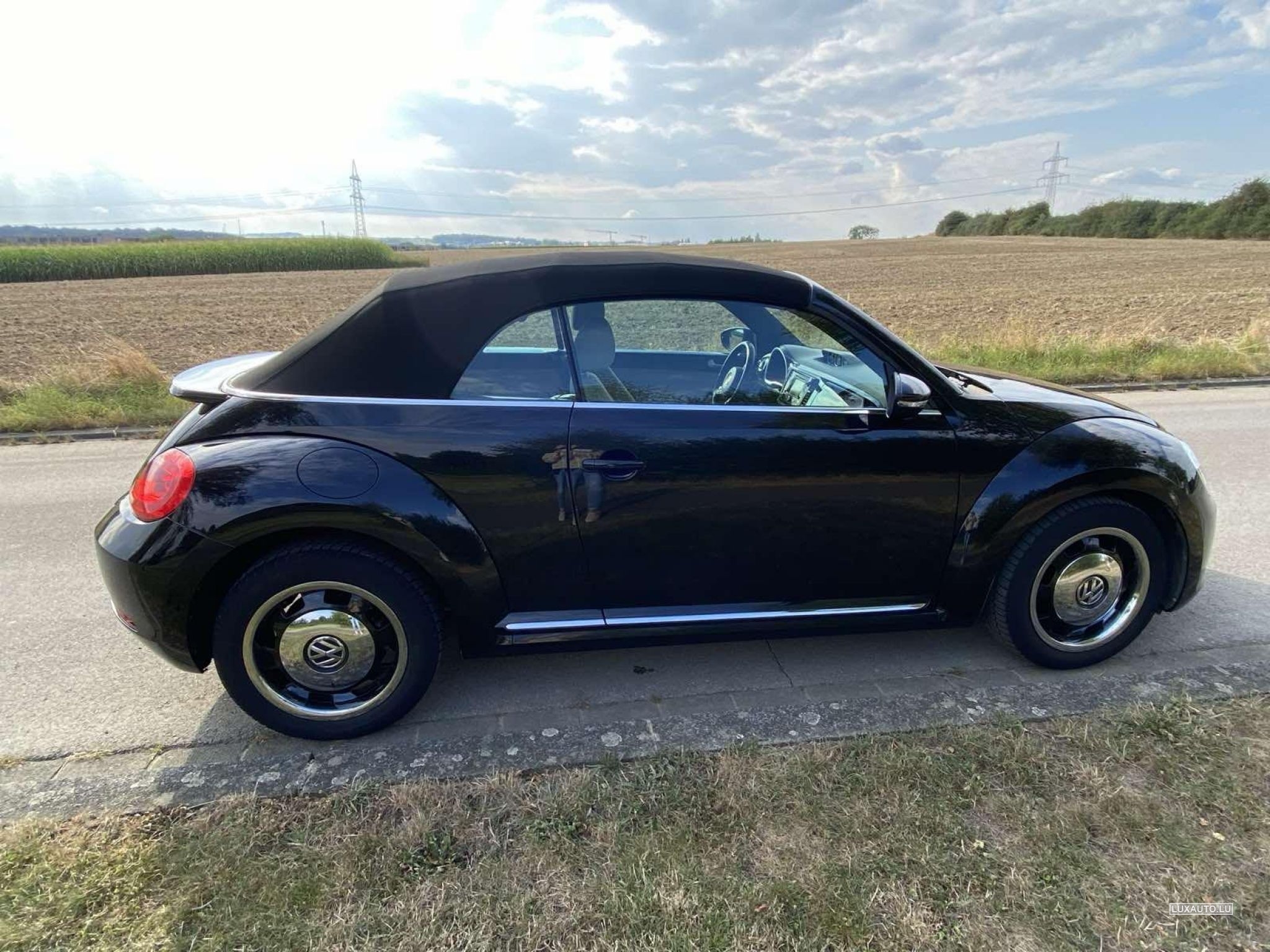 VW Beetle