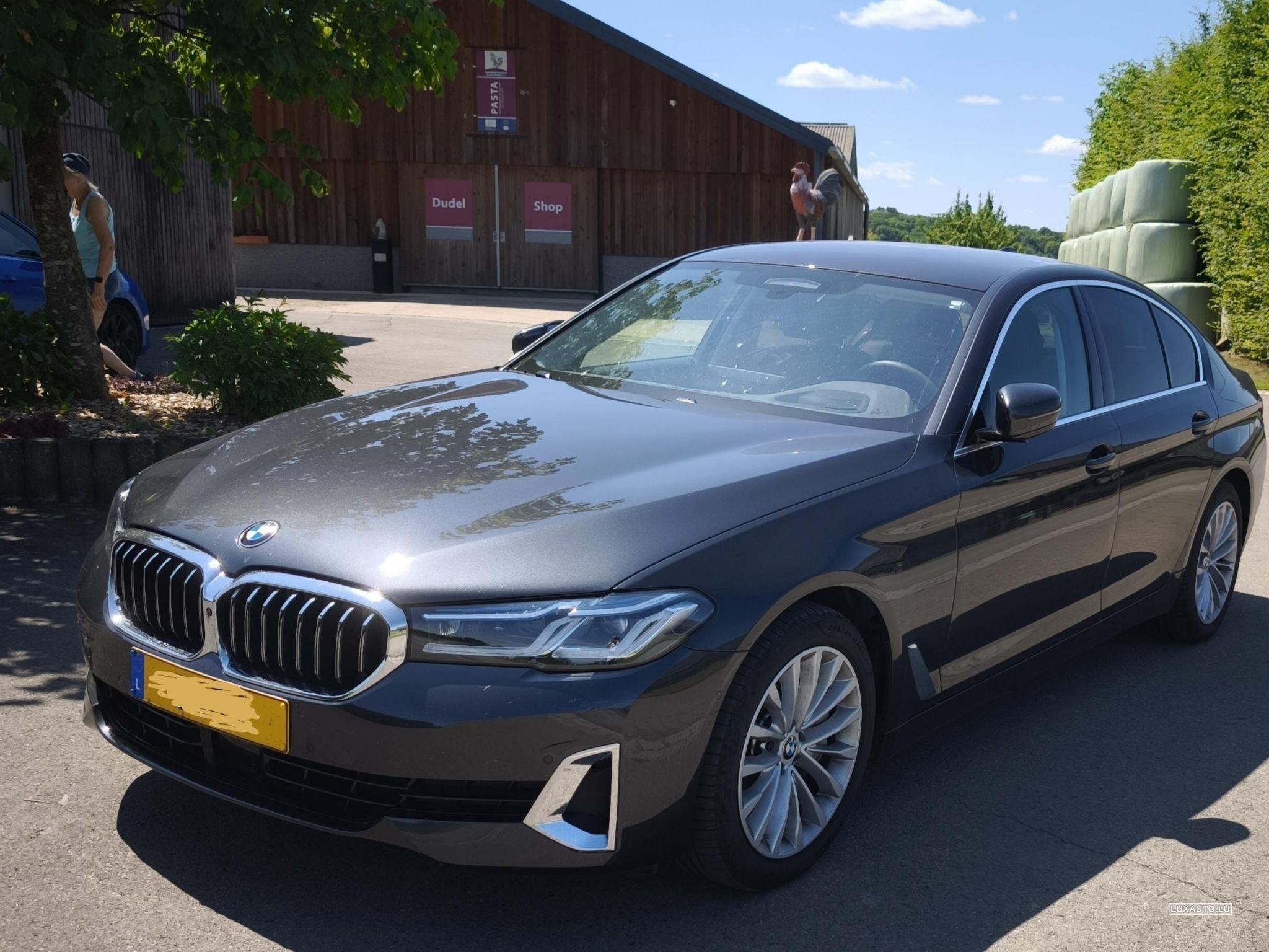 BMW 530 Luxury Line