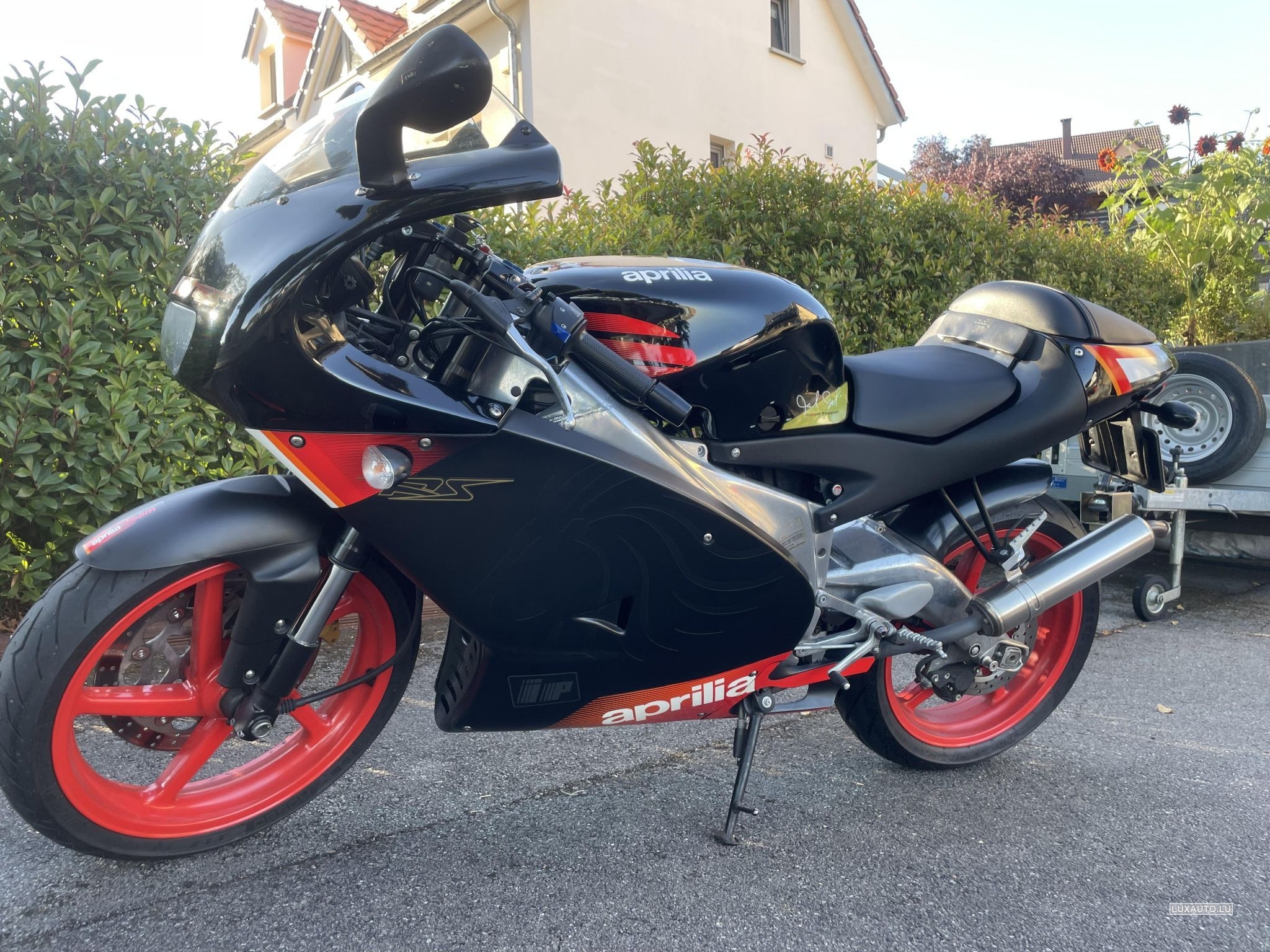 Aprilia RS