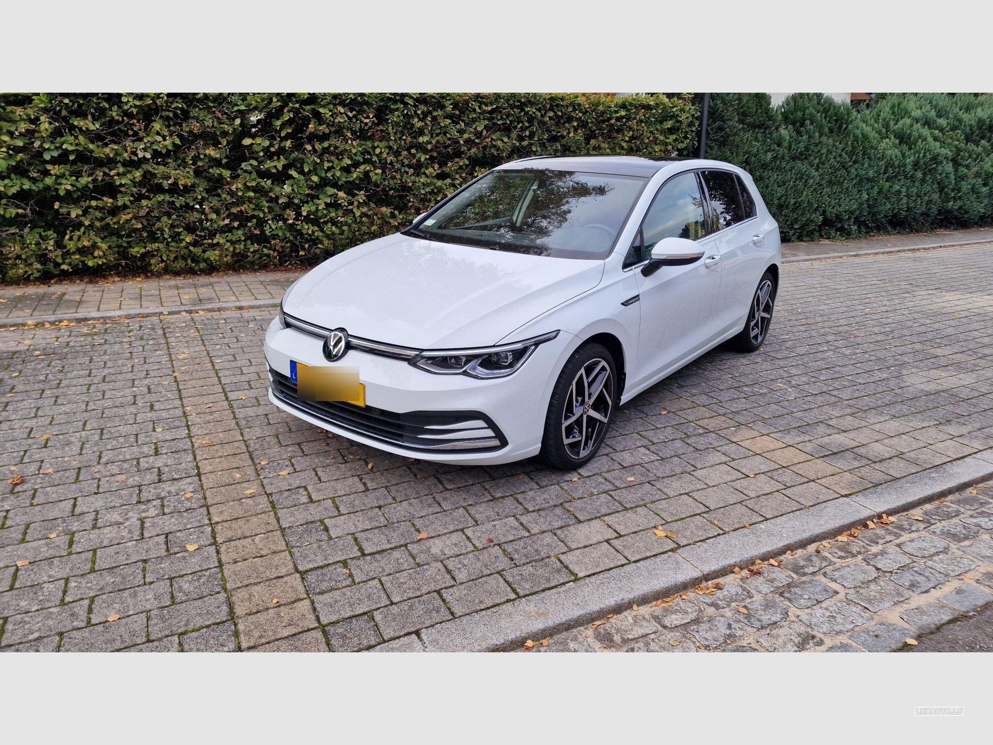 VW Golf Golf 1.5 eTSI Style - Service VW Aug/25