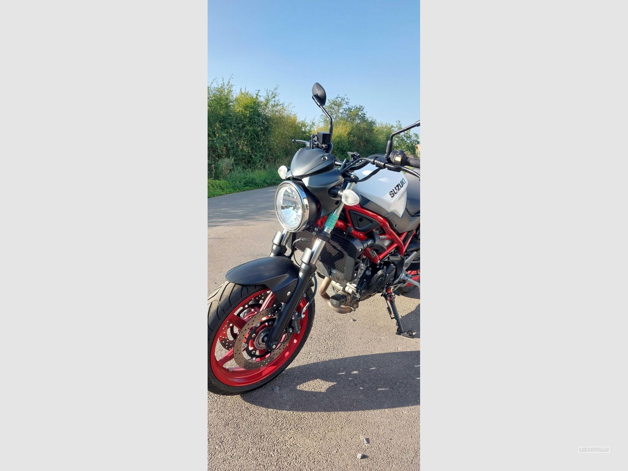 Suzuki SV
