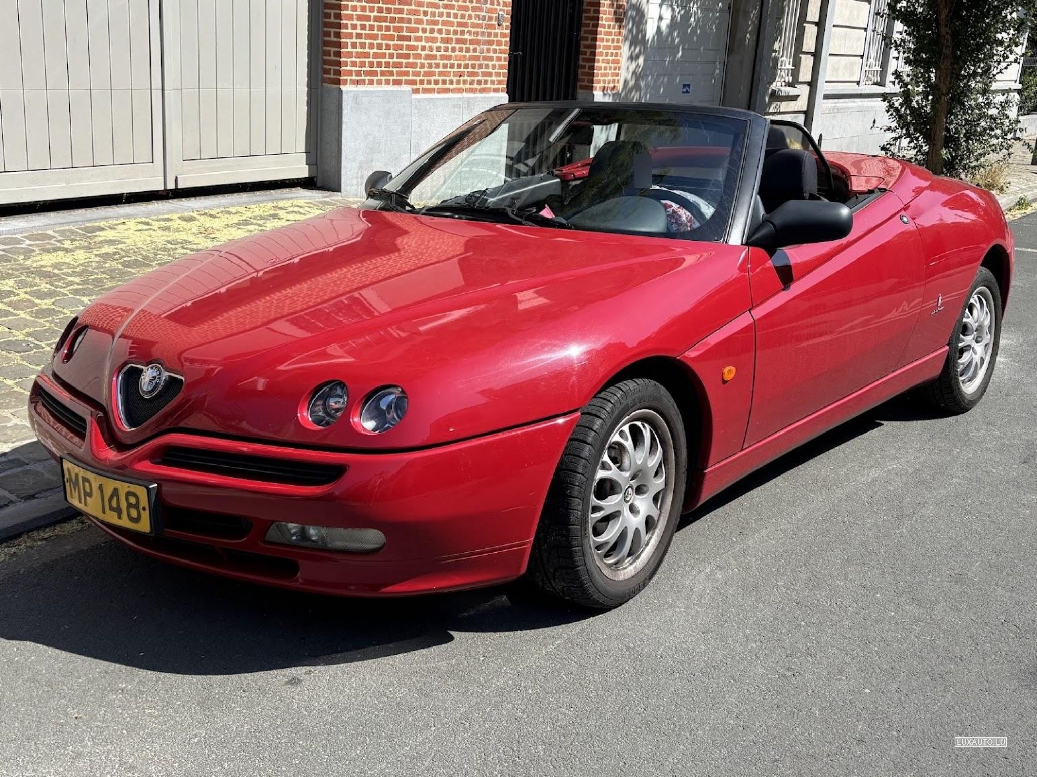 Alfa-Romeo Spider