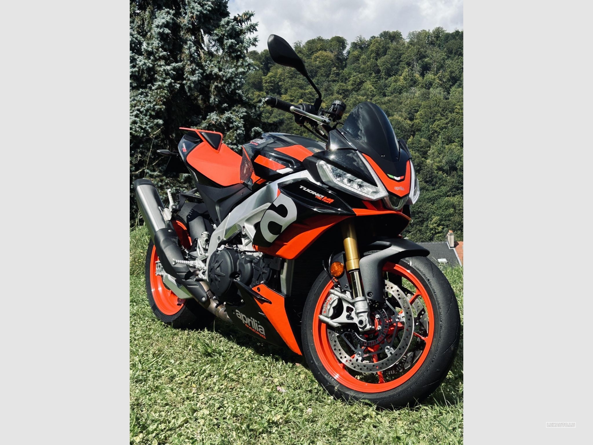 Aprilia Tuono V4 Factory
