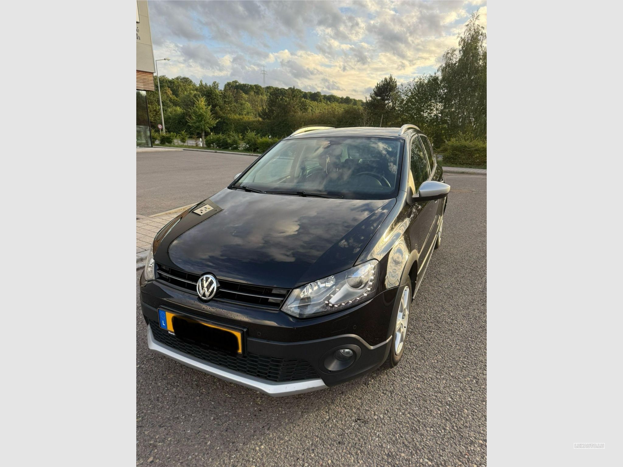 VW Polo