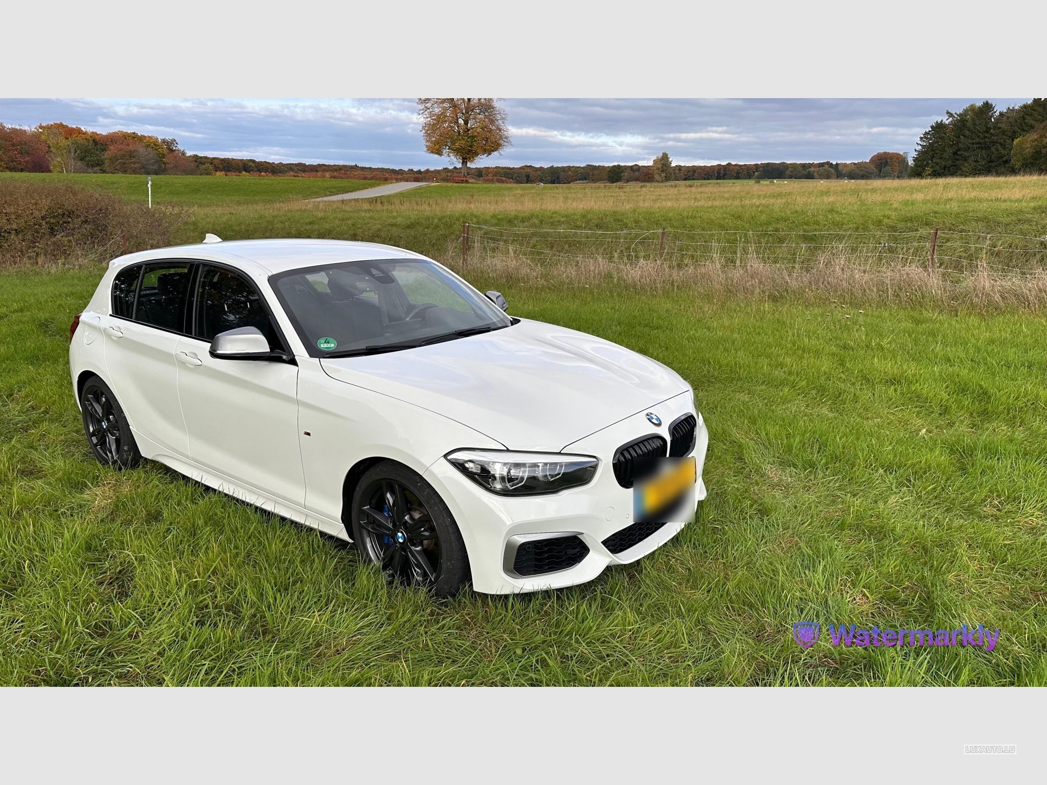BMW M140 Special Edition