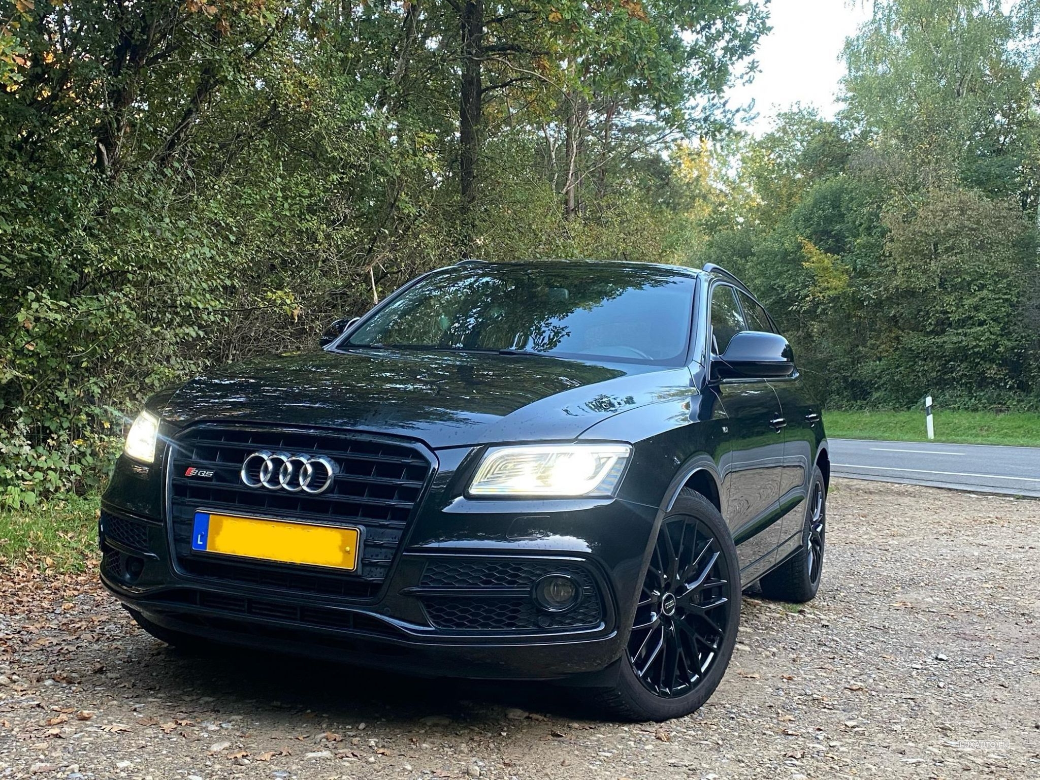 Audi SQ5