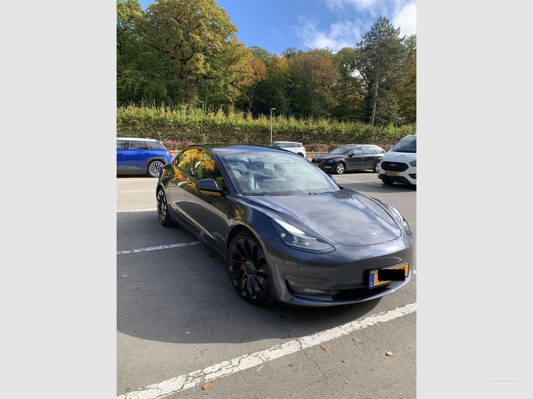 Tesla Model 3 Performance