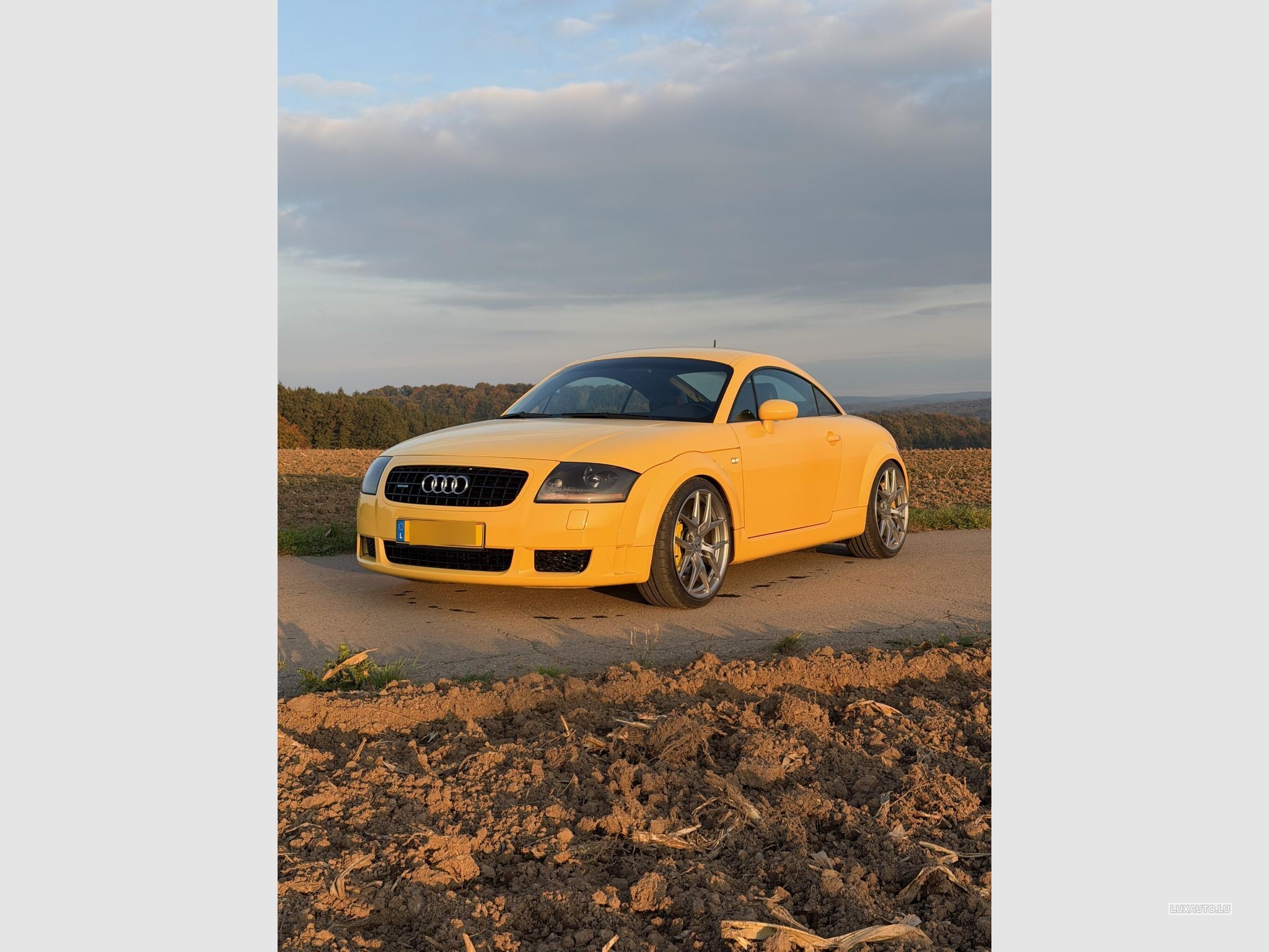 Audi TT Quattro