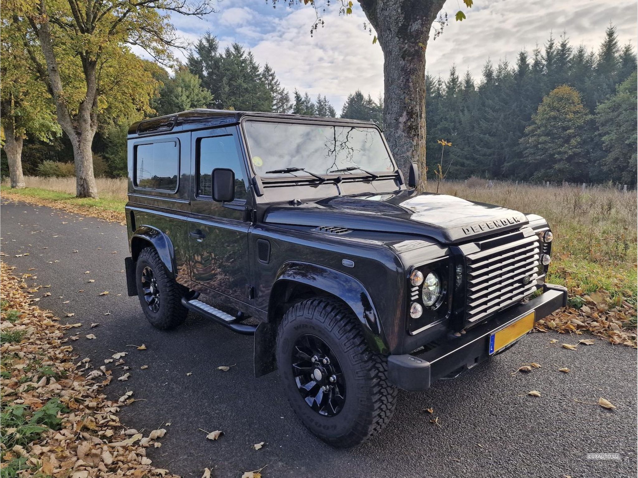 Land-Rover Defender Land Rover Defender 90 2.2 TD4 Limited Edition