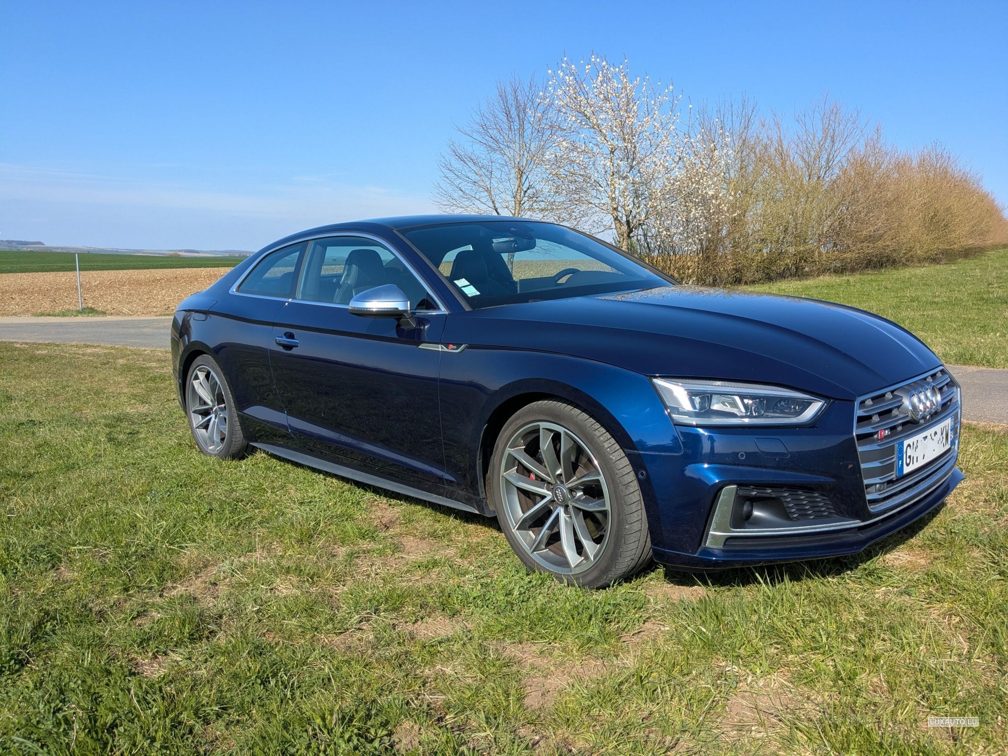 Audi S5