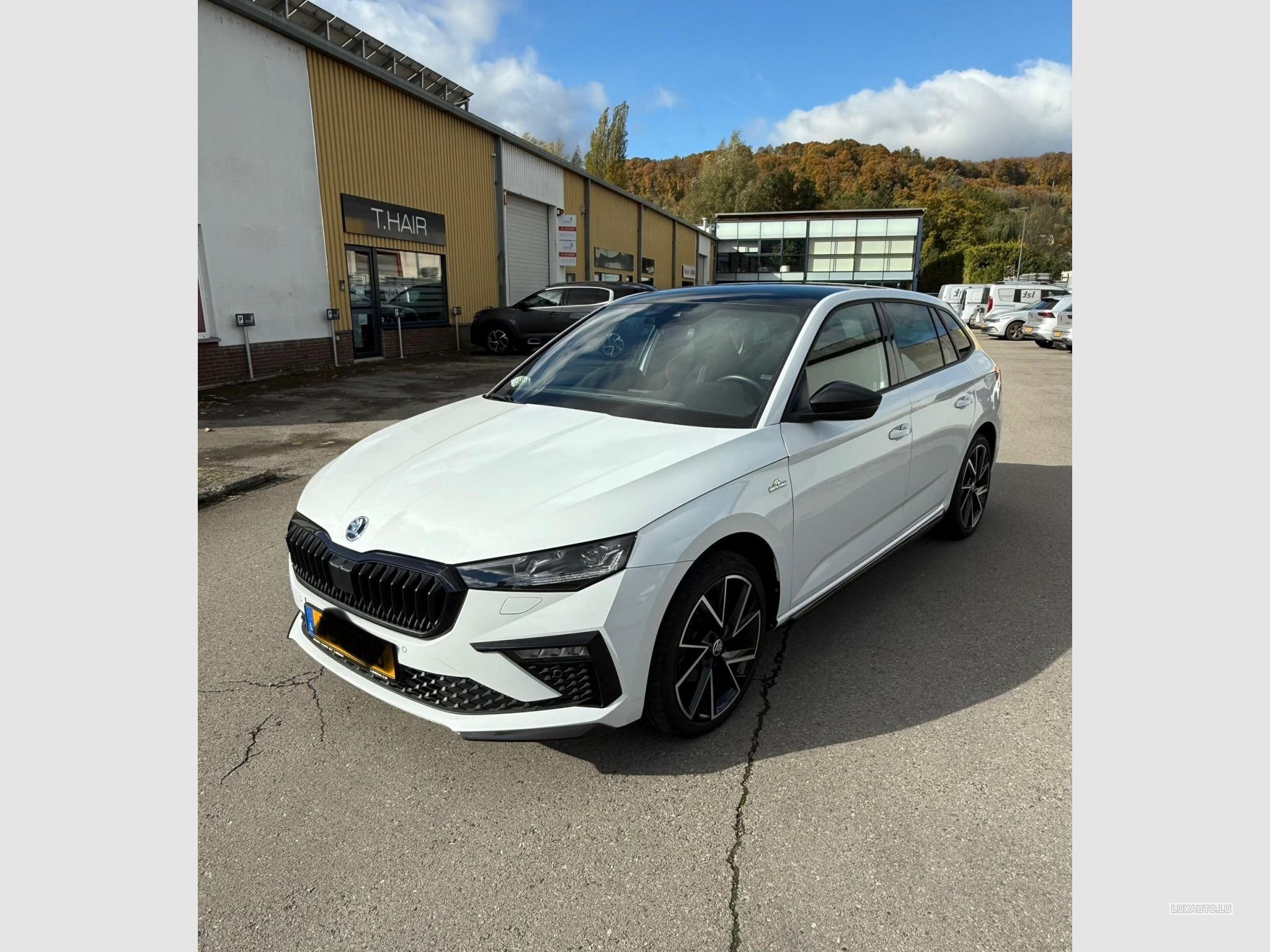 Skoda Scala Monte Carlo