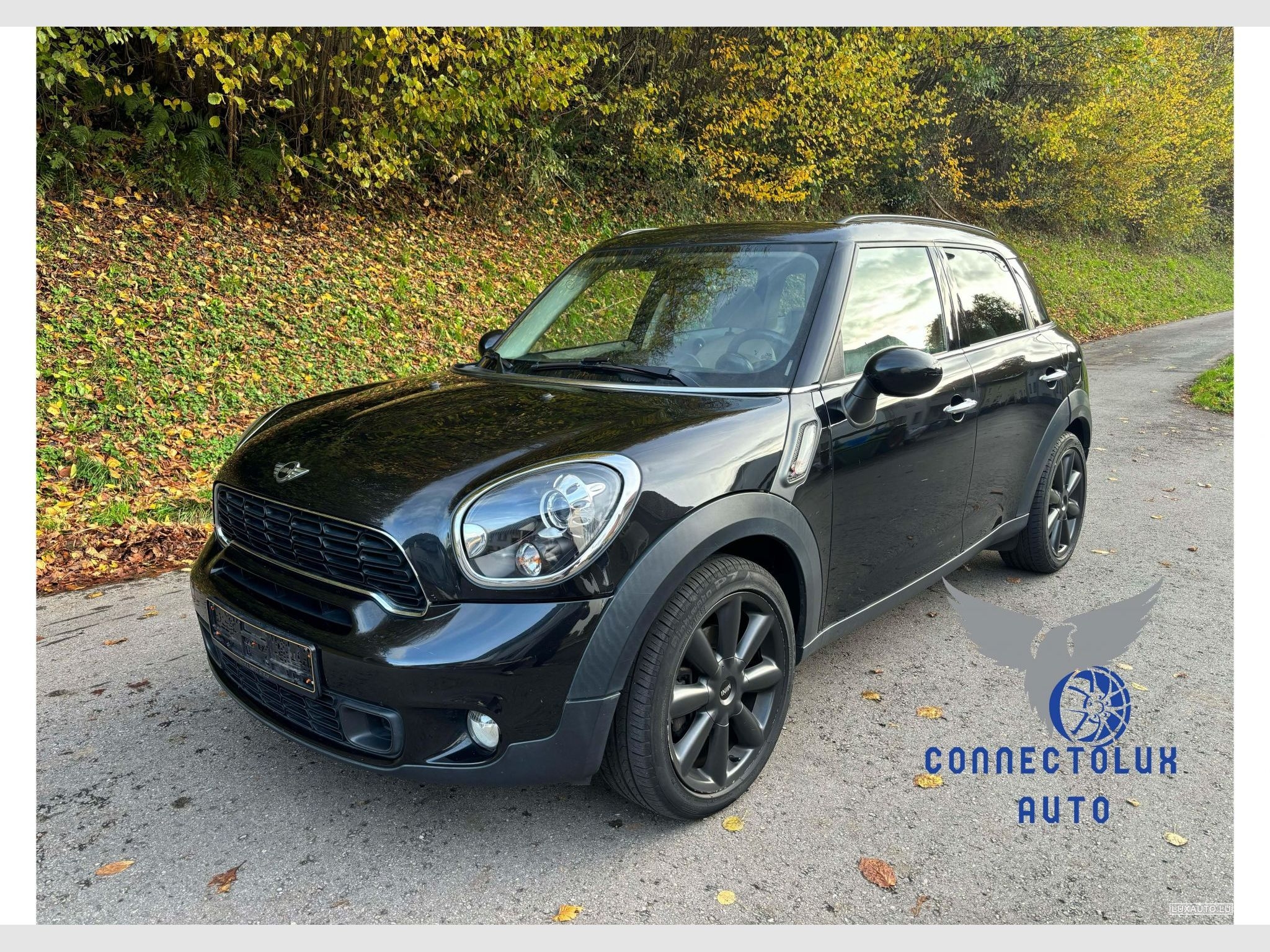 Mini Countryman Cooper Countryman S D